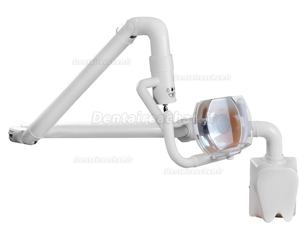 Lampe buccale &agrave; lumi&egrave;re froide murale dentaire 50 W, lampe d'examen dentaire